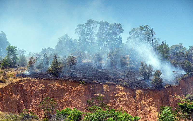  KEBAKARAN HUTAN DI BATAM