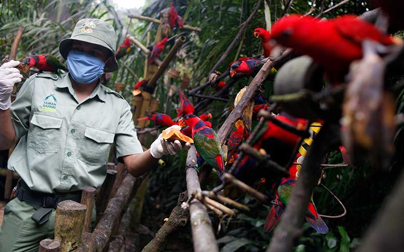  PENYEMPROTAN DISINFEKTAN DI KANDANG HEWAN