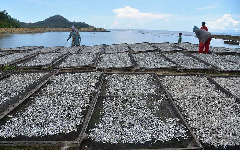  PRODUKSI IKAN ASIN MENINGKAT