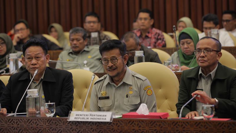  Ketersediaan Pangan Dasar, Kementan: Stok 11 Komoditas Aman