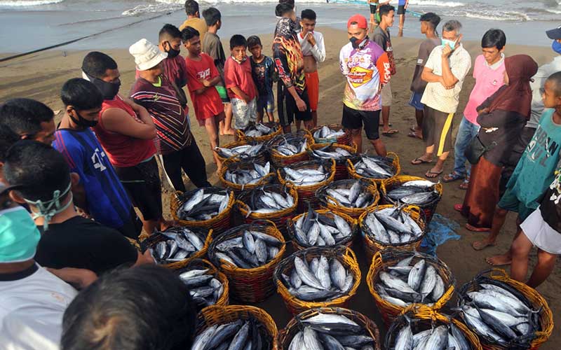  HARGA IKAN TURUN