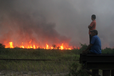 Warga sedang memantau titik api. Titik api di Riau kini sudah nol./ilustrasi