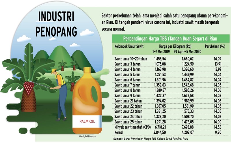  KOMODITAS PERKEBUNAN : Petani Sawit Bertahan dari Pandemi