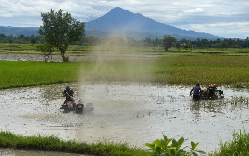 Petani membajak sawah menggunakan traktor tangan di Desa Samahani, Kecamatan Kuta Malaka, Kabupaten Aceh Besar, Aceh, Sabtu (2/5/2020). - ANTARA