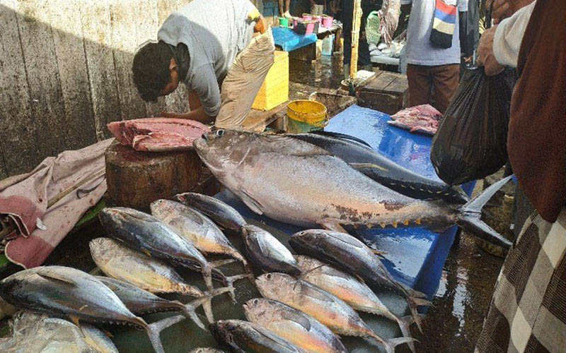  Ribuan Paket Bahan Makanan Dibagikan di Hamadi & Entrop, Jayapura