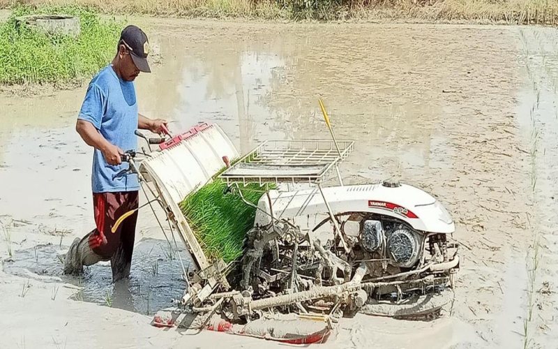  Pemkab OKI Serap Beras Petani untuk Bansos Warga Terdampak Covid-19