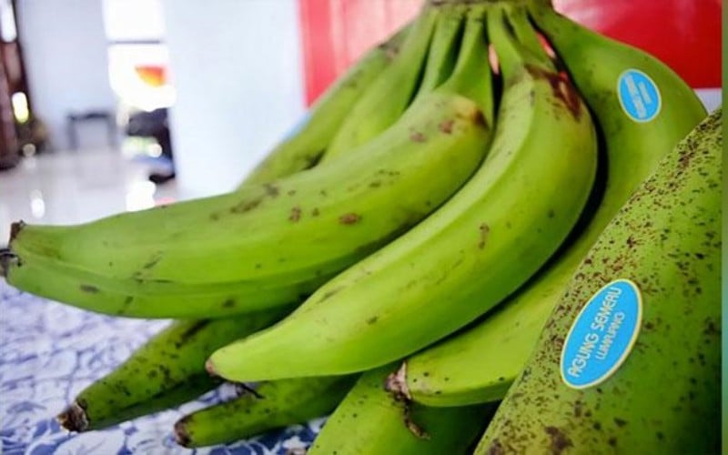  Nutrisi Pisang Agung Semeru Berkali Lipat Dibandingkan Cavendish