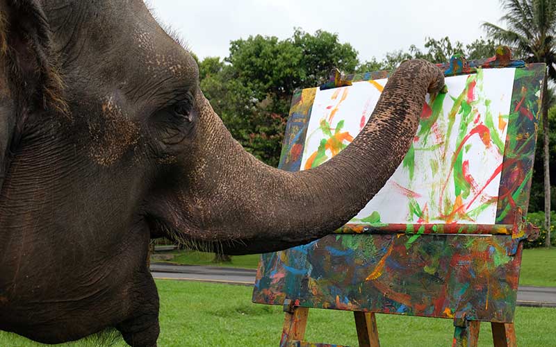  GAJAH BELAJAR MELUKIS