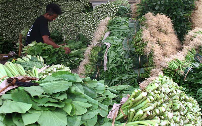  PRODUKSI SAYURAN MELIMPAH MEMBUKA PELUANG EKSPOR