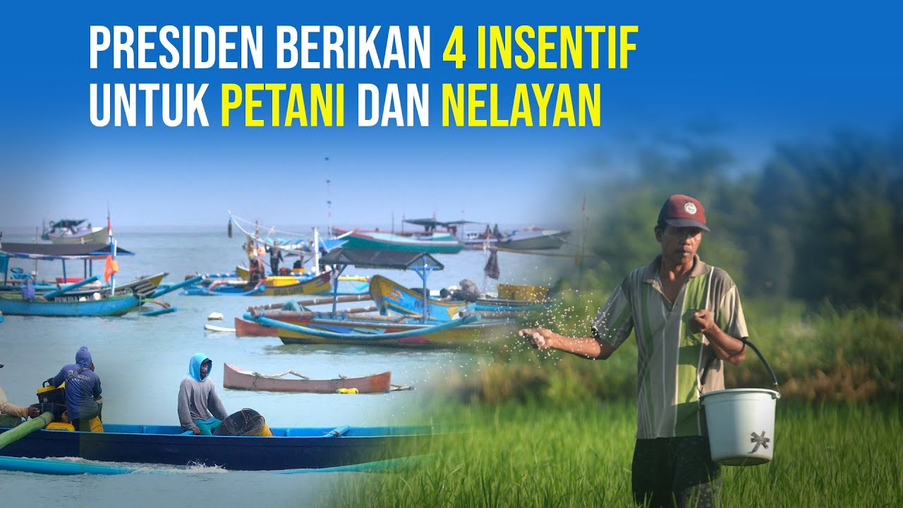  Petani dan Nelayan Dapat 4 Insentif dari Presiden Jokowi