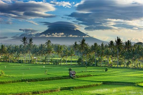  PROSPEK EKONOMI BALI :  Pertanian Lebih Seksi Ketimbang Pariwisata