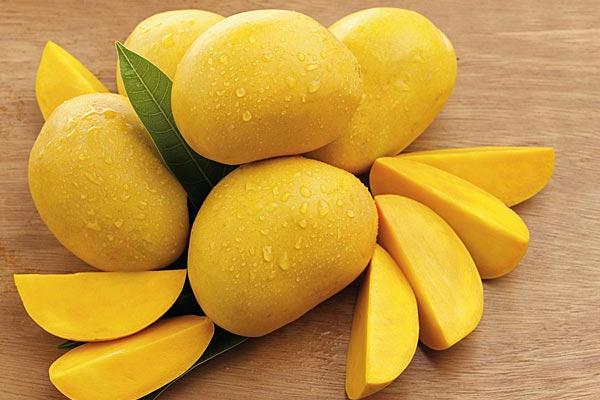  Ini Resep Makanan Sehat dari Mangga