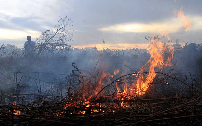  KEBAKARAN LAHAN GAMBUT ACEH BARAT MELUAS