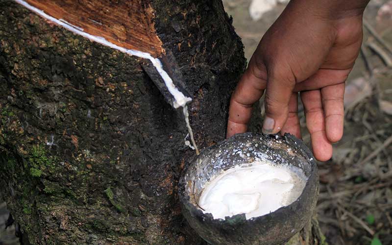  Kementerian PUPR Beli 10 Ribu Ton Karet Langsung dari Petani