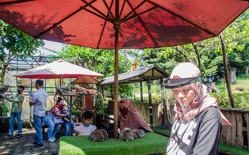  Menikmati Wisata Farm House di Lembang