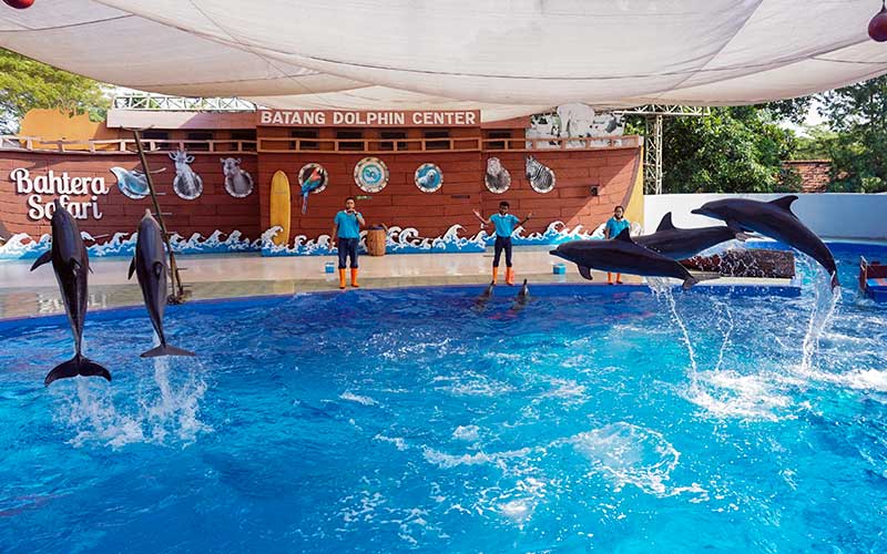  Simulasi Pembukaan Batang Dolphins Center