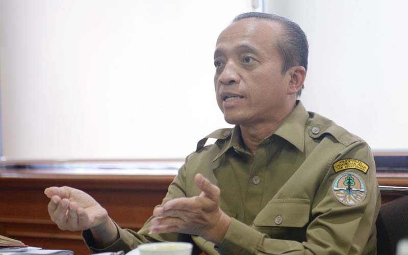  Kawal Kebijakan LHK, Kiprah Dewan Kehutanan Nasional Harus Diperkuat