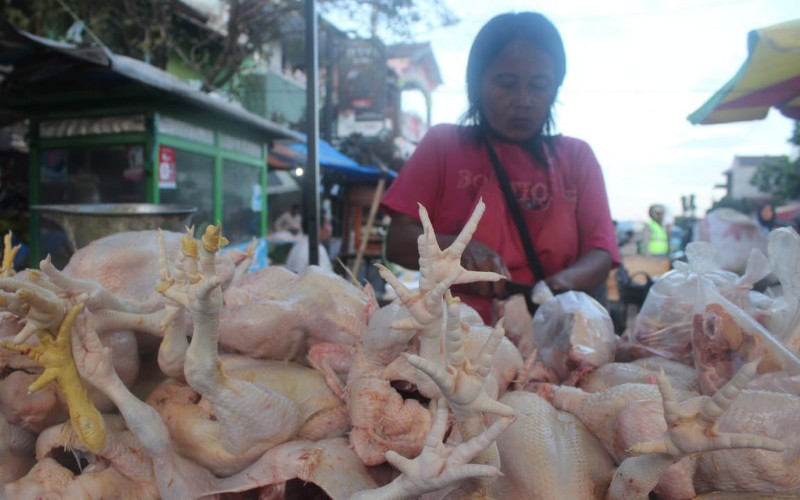  Harga Daging Ayam di Cirebon Masih Melambung‎