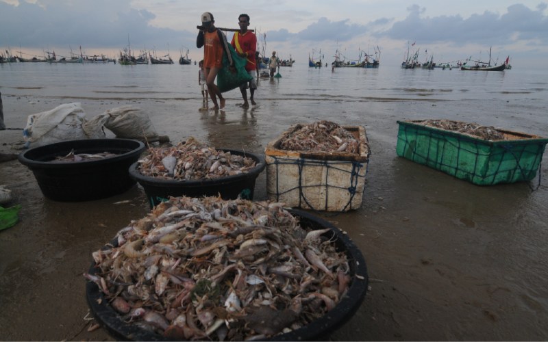 Nelayan menurunkan ikan tangkapannya di Pantai Jumiang, Pamekasan, Jawa Timur, Selasa (7/4/2020). ANTARA