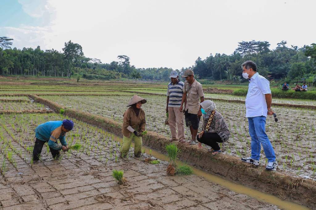  Penempatan Dana dari Pemerintah Bikin BRI Makin Fokus Selamatkan UMKM