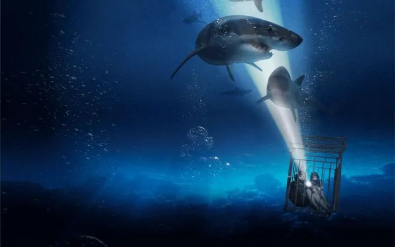  Sinopsis Film 47 Meters Down, Tayang Malam Ini di Trans TV Jam 21.30 WIB