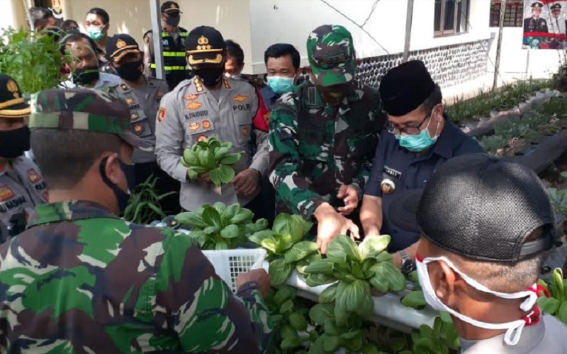  Desa Pesanggrahan Cirebon Dijadikan Kampung Tangguh
