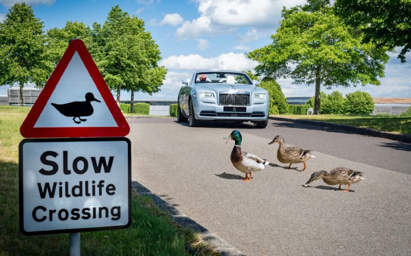  Berkebun! Pilihan Aktivitas Rolls-Royce Saat Tutup Pabrik