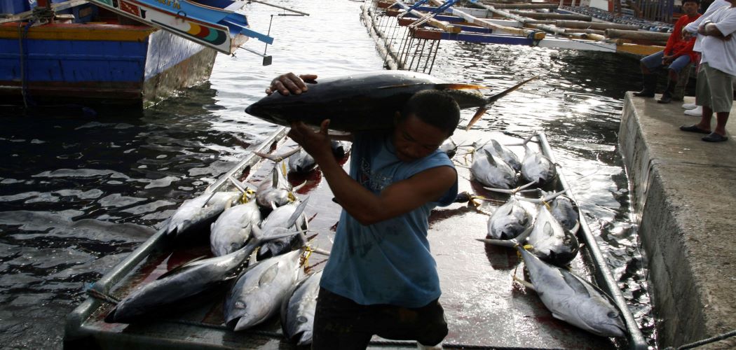  Historia Bisnis: Masuknya Kapal Ikan Besar Jalur Deregulasi ke Laut Indonesia 