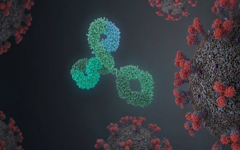  Antibodi Virus Corona Masuki Uji Klinis Tahap Akhir
