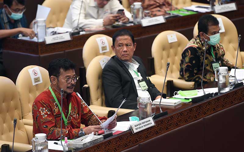  Mentan Syahrul Yasin Limpo Bahas Percepatan Pemulihan Ekonomi saat Raker Bersama DPR