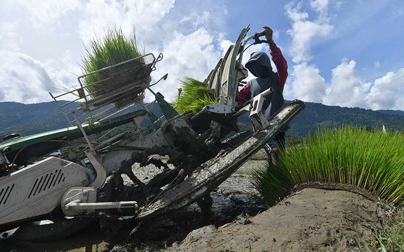  Petani Mulai Menggunakan Teknologi Transplanter Untuk Meningkatkan Produksi Padi