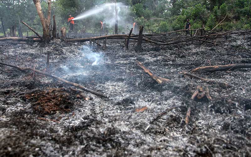  Kebakaran Lahan di Pekanbaru, Polisi Amankan Dua Pelaku Pembakar Lahan