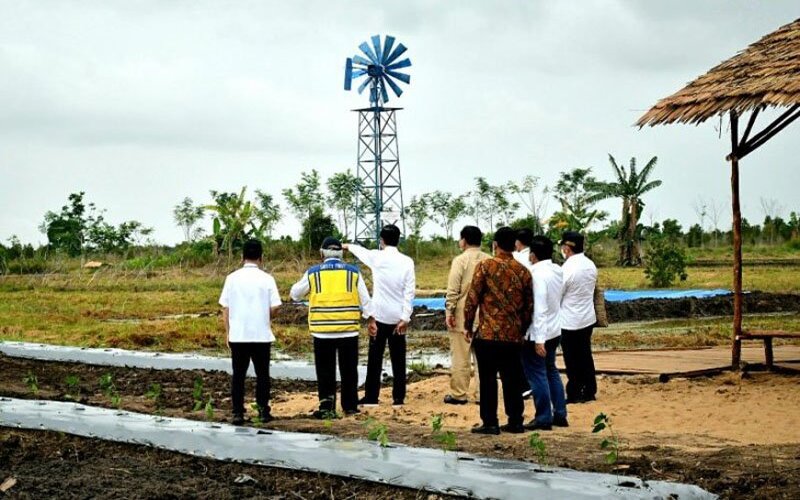  Presiden Meninjau Kapuas Didampingi Sejumlah Menteri