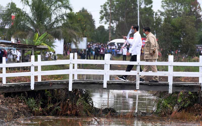  Presiden Joko Widodo Tinjau Lahan Untuk Lumbung Pangan di Kalimatan Tengah
