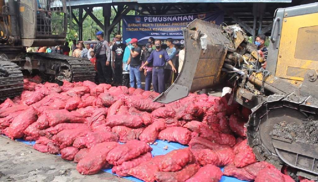  Bea Cukai Bengkalis Musnahkan 11 Ton Bawang Merah Ilegal