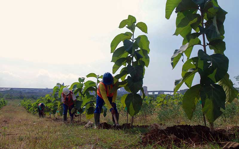  PT Semen Indonesia (Persero) Tbk. Terapkan Sistem Alur Untuk Reklamasi Lahan Pasca Penambangan