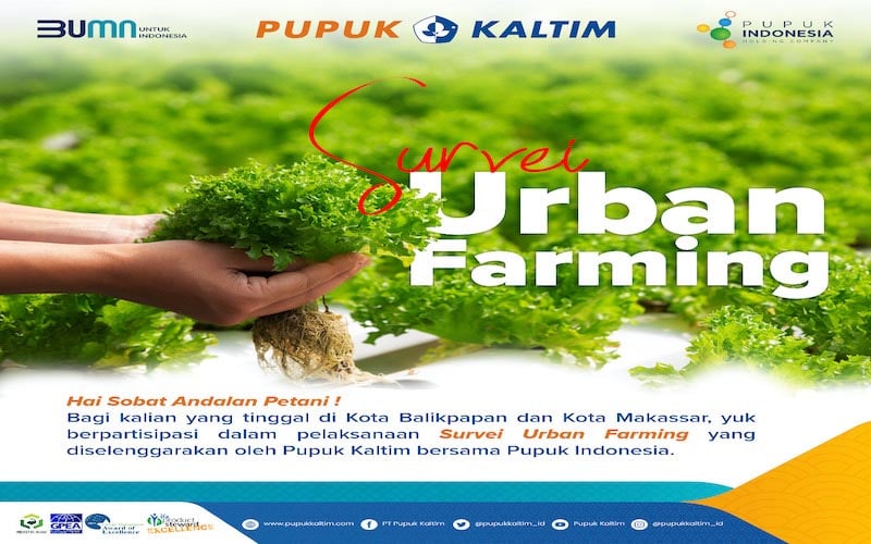  Yuk Ikut Survei Urban Farming Pupuk Kaltim, Tumbuhkan Geliat Bertani Milenial dan Masyarakat Perkotaan