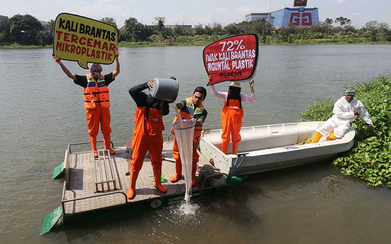  Sungai Brantas Tercemar Mikropalstik Yang Membahayakan Manusia