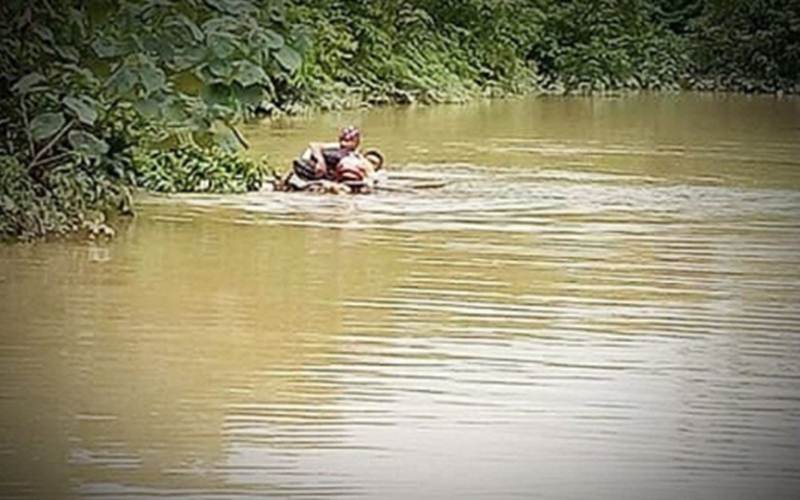  Terobos Banjir, Penyuluh Pertanian Gunakan Batang Pisang