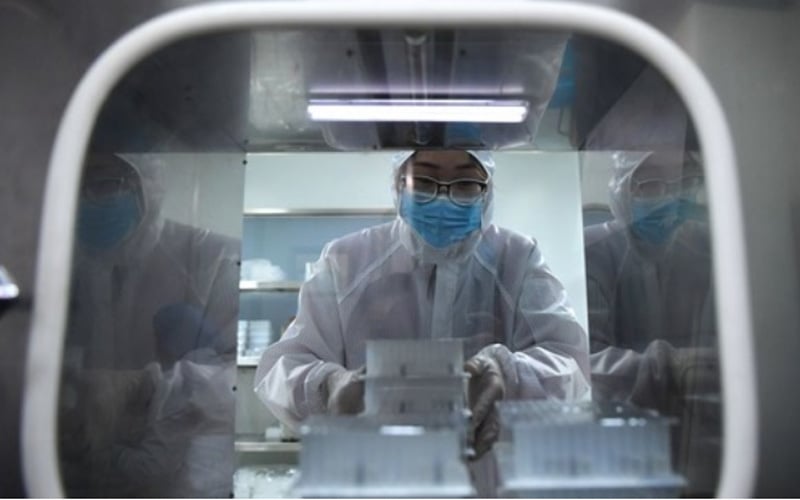 Seorang staf menaruh alat uji asam nukleat di pabrik Luoyang Ascend Biotechnology Co., Ltd di Luoyang, Provinsi Henan, China tengah, pada 4 Maret 2020./Xinhua-Li Jianan