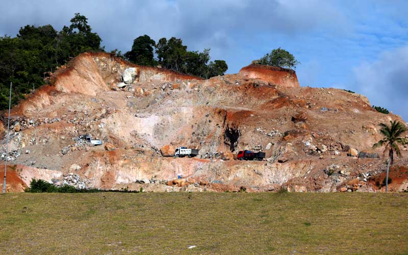  Hutan di Aceh Rusak Akibat Banyaknya Pembukaan Lahan Perkebunan