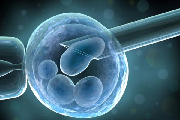  Uji Klinis Terapi Stem Cell Pasien Covid-19, Kemenkes Gandeng Perusahaan Korea