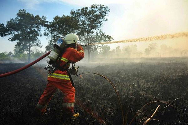  Polda Sumsel Tangkap 6 Pelaku Pembakar Hutan dan Lahan