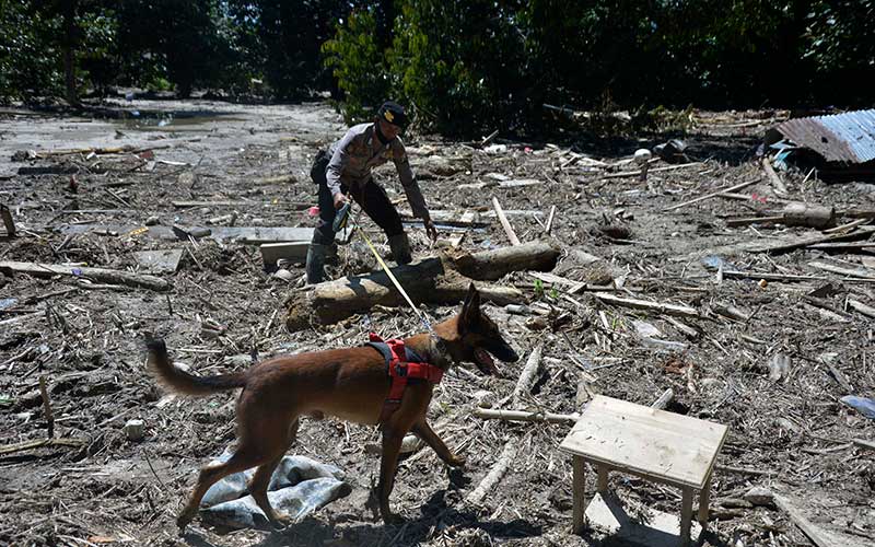  Polisi Kerahkan Anjing Pelacak Untuk Mencari Korban Banjir Bandang Luwu Utara
