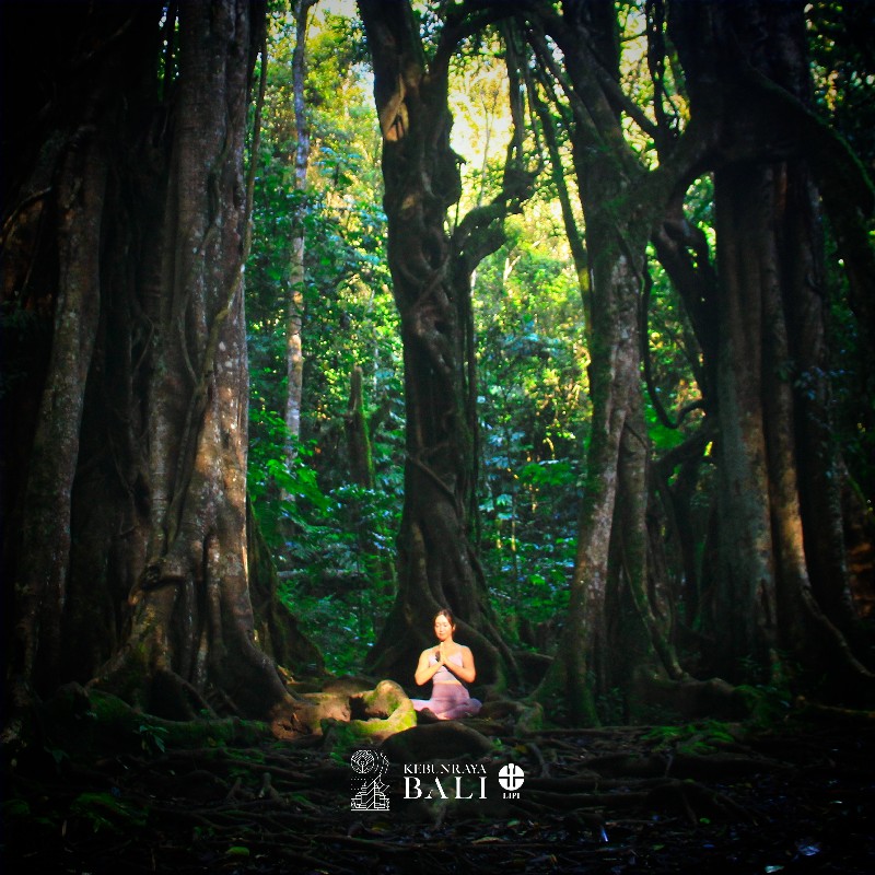  Mulai Besok, Kebun Raya Bali Kembali Dibuka
