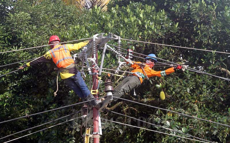  PLN Klaim Sudah Pulihkan Listrik di Kabupaten Luwu Utara Pasca Banjir Bandang