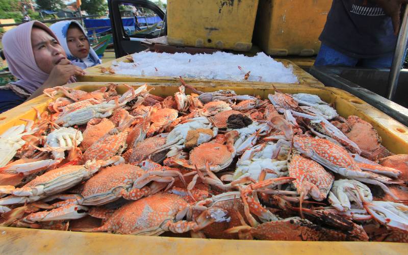  Lampung Giatkan Restocking Ikan-ikan Endemik di Sungai & Embung