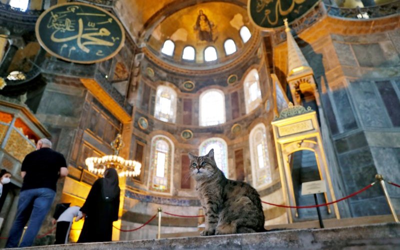  Gli Tetap Tinggal di Haga Sophia