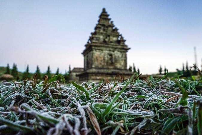  Suhu Hari Ini Terasa Lebih Dingin, Embun Es Muncul di Dieng 