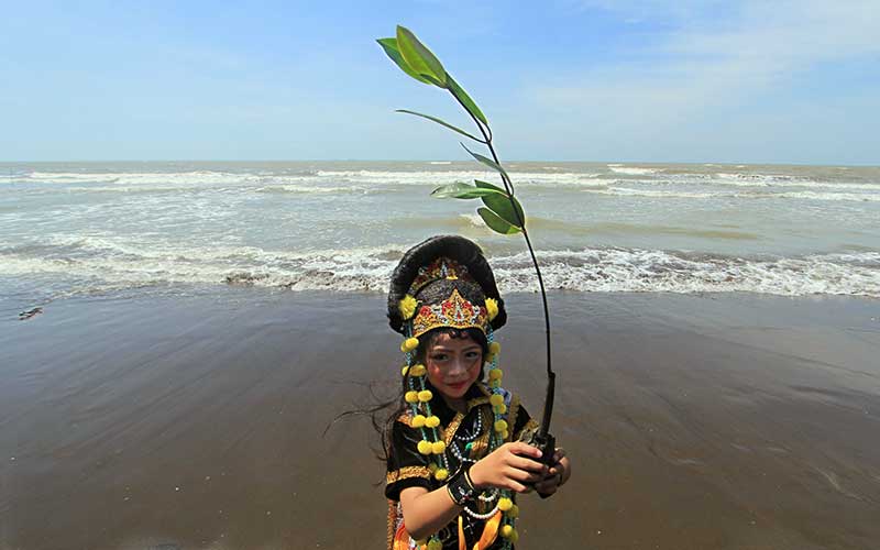  Peringati Hari Mangrove Internasional, Sejumlah Anak Menanam Mangrove di Pantai Indramayu